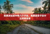 免费测试命中有几个子女，免费算命子女什么时候会来