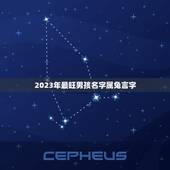 2023年最旺男孩名字属兔言字(介绍属兔男孩的命名要点)