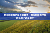 怎么判断自己是月亮双子，怎么判断自己是月亮双子还是射手