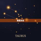 男生属马与什么属相配(配对指南)