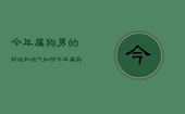 今年属狗男的财运和运气如何，今年属狗男的财运和运气如何2023