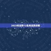 2023年运势12生肖运势详解(猪年财运亨通龙虎斗智斗勇)