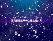 属猪的适合干什么行业钱女人(探秘职场猪妹子如何获得事业成功)