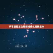 八字里面怎么看婚姻什么时候出来(介绍婚姻运势)