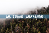 生辰八字算命命运，生辰八字推算命运