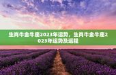 生肖牛金牛座2023年运势，生肖牛金牛座2023年运势及运程