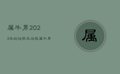 属牛男2023年的运势及运程，属牛男2022年的运势和婚姻