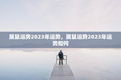 属鼠运势2023年运势，属鼠运势2023年运势如何