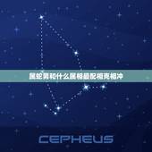 属蛇男和什么属相最配相克相冲(如何选择配偶)