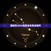 属蛇在2023年的全年命运如何(预测财运旺盛但需注意健康问题)