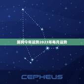 属狗今年运势2023年每月运势(详解幸运之星照耀财运旺盛)