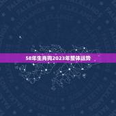 58年生肖狗2023年整体运势(顺风顺水财运亨通)