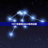 1977年属蛇2024年的运程(蛇行天下财运亨通)