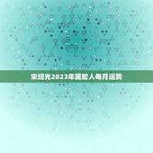宋绍光2023年属蛇人每月运势(顺境中求进逆境中谨慎前行)