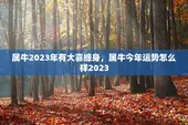 属牛2023年有大喜缠身，属牛今年运势怎么样2023