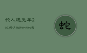 蛇人遇兔年2023每月运势如何，蛇遇兔年2023年怎么样