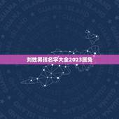 刘姓男孩名字大全2023属兔(选择适合兔子年出生男孩的名字)