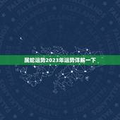 属蛇运势2023年运势详解一下(蛇儿春风得意运势旺盛迎新年)