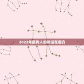 2023年属狗人的财运在哪方(介绍属狗人的运势和财富走向)