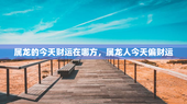 属龙的今天财运在哪方，属龙人今天偏财运
