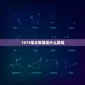 1975兔女配偶是什么属相(寻找伴侣)