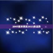 2003属羊男孩2023年运势(未来十年属羊男孩的运势如何)