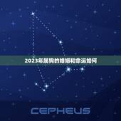 2023年属狗的婚姻和命运如何(幸福婚姻与事业双丰收)