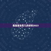 兔宝宝生在几月份好2023(如何选择的兔宝宝出生时间)