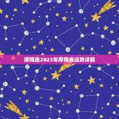 摩羯座2023年摩羯座运势详解(事业稳步上升感情顺利发展)