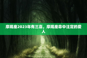 摩羯座2023年有三喜，摩羯座命中注定的爱人