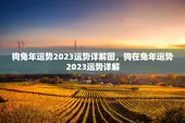 狗兔年运势2023运势详解图，狗在兔年运势2023运势详解