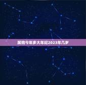 属狗今年多大年纪2023年几岁(狗年人的年龄计算方法详解)