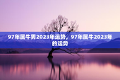 97年属牛男2023年运势，97年属牛2023年的运势