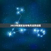 2023年属蛇全年每月运势运程(详解顺风顺水财运亨通)