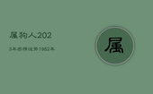 属狗人2023年感情运势，1982年属狗人2023年感情运势