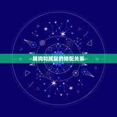 属狗和属啥婚配最合适(如何选择婚姻对象)