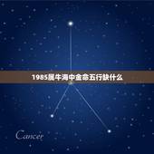 1985属牛海中金命五行缺什么(如何补足五行缺陷)