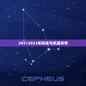 双子座十年运势大起底(未来十年双子座的运势如何)