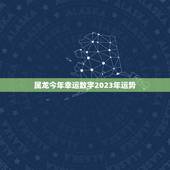 属龙今年幸运数字2023年运势(介绍数字7带来好运)