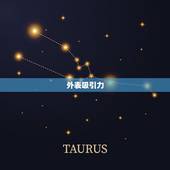 射手男着迷于哪种女人(探秘射手座男生心中的女神标准)