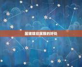 属猪嫁给属猴的好不好(12生肖中的组合)