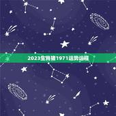2023生肖猪1971运势运程(猪年财运亨通事业顺遂健康平稳)