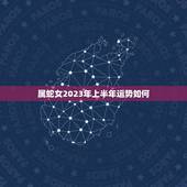 属蛇女2023年上半年运势如何(预测事业稳步上升财运亨通)