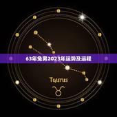 63年兔男2023年运势及运程(幸运之年财运亨通)
