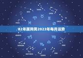 82年属狗男2023年每月运势(全年大起大落)