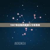1947年出生的属猪人今年怎样(猪年运势大介绍)