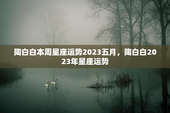 陶白白本周星座运势2023五月，陶白白2023年星座运势