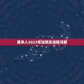 属羊人2023年运势及运程详解(喜迎贵人事业顺利财运亨通)