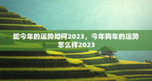 蛇今年的运势如何2023，今年狗年的运势怎么样2023