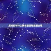 属蛇的和什么属相最配婚姻最合适(十二生肖中配对)